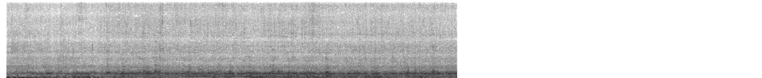 Common Eider - ML649419567