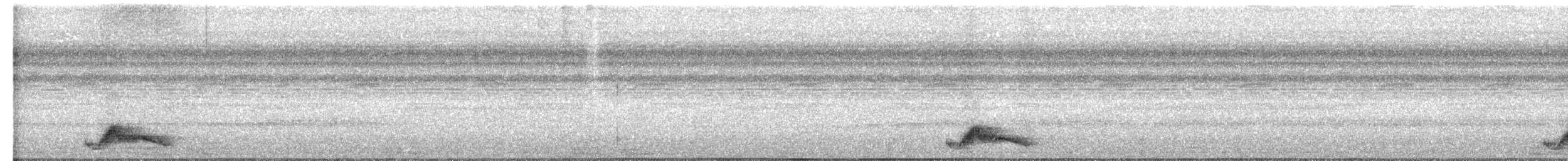 lelek šedočelý - ML649419688