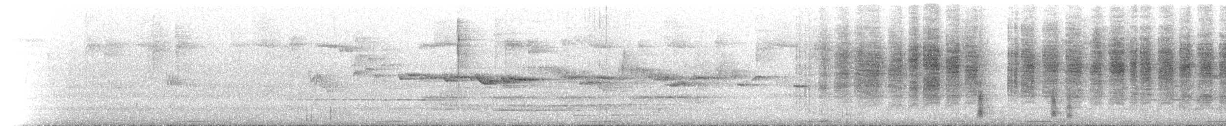 Spotted Scrubwren - ML649421128