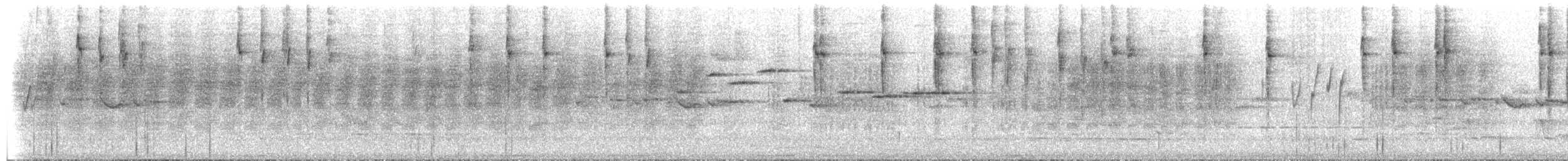 Striated Thornbill - ML649421161