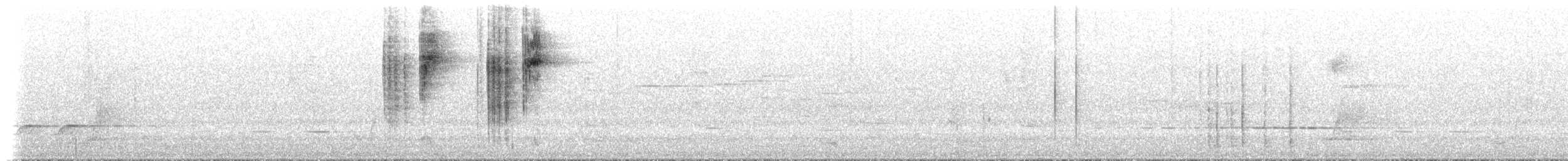 Spotted Scrubwren - ML649421206