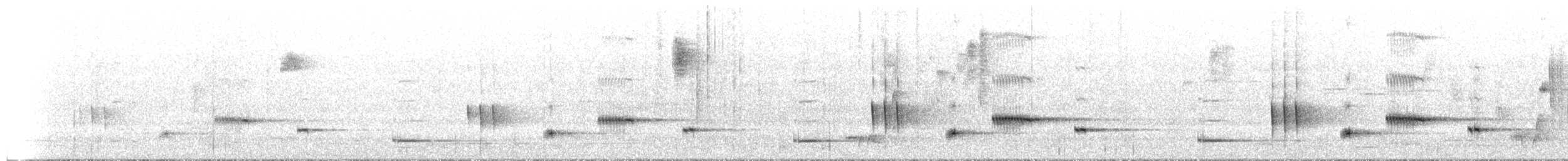 Western Whipbird (White-bellied) - ML649421215