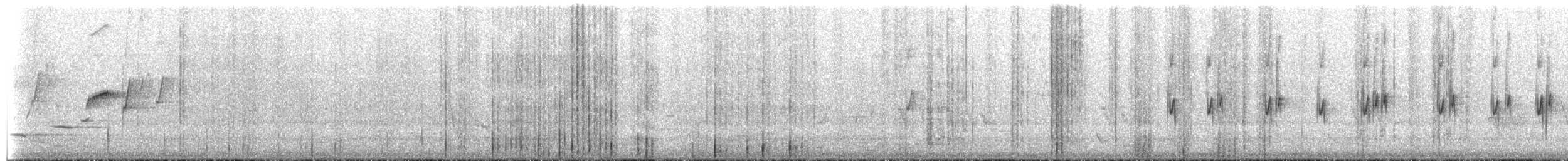 Eastern Spinebill - ML649421230