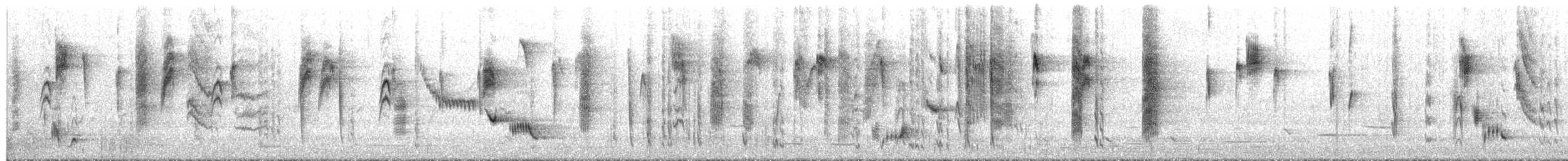 Brown Thornbill - ML649421247