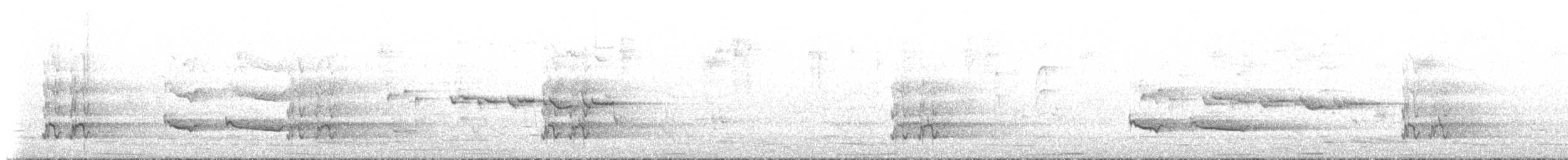 Gray Currawong (Kangaroo I.) - ML649421256