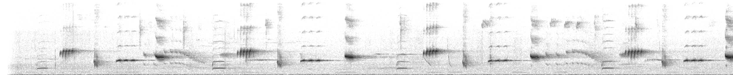 Western Whipbird (White-bellied) - ML649421356