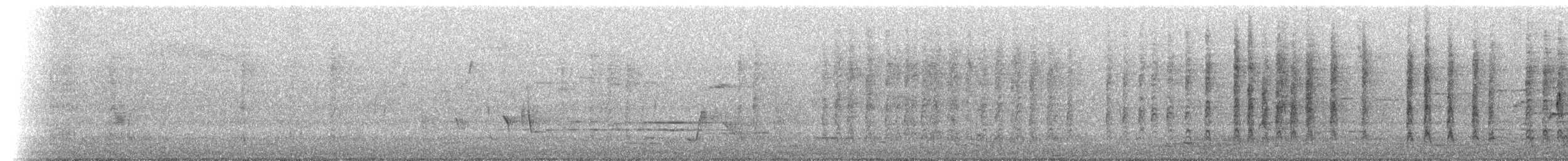 White-eared Honeyeater - ML649421397