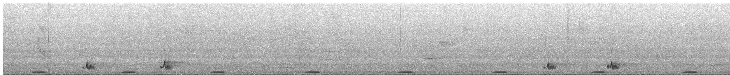 Western Whipbird (White-bellied) - ML649421467