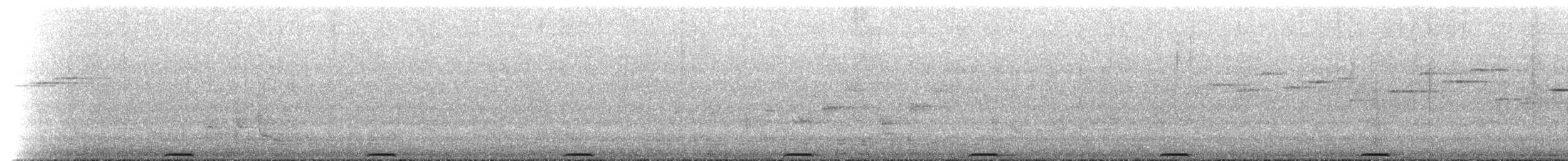 Brush Bronzewing - ML649421504