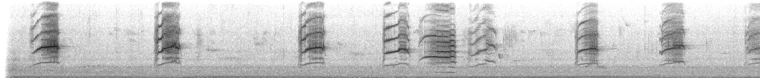 Glossy Black-Cockatoo - ML649421586