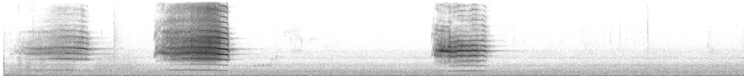 Glossy Black-Cockatoo - ML649421595