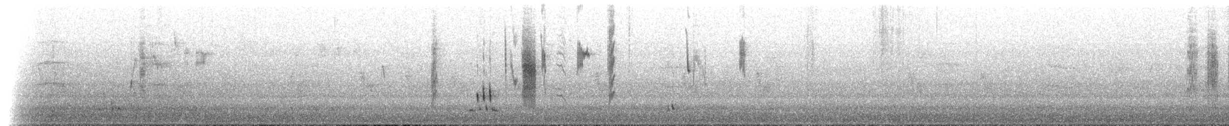 Brown Thornbill - ML649421605