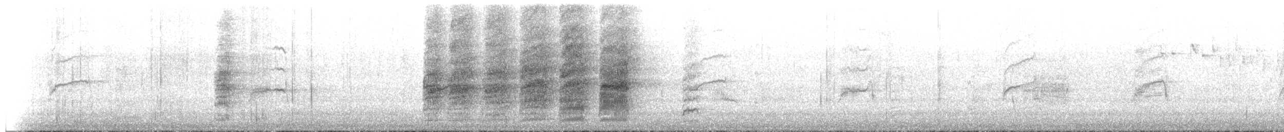 Glossy Black-Cockatoo - ML649421614