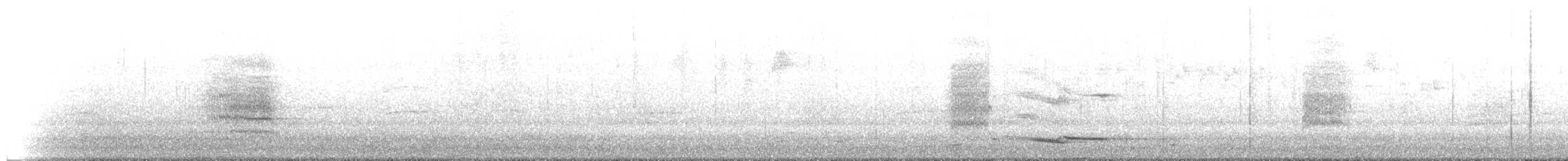 Glossy Black-Cockatoo - ML649421616