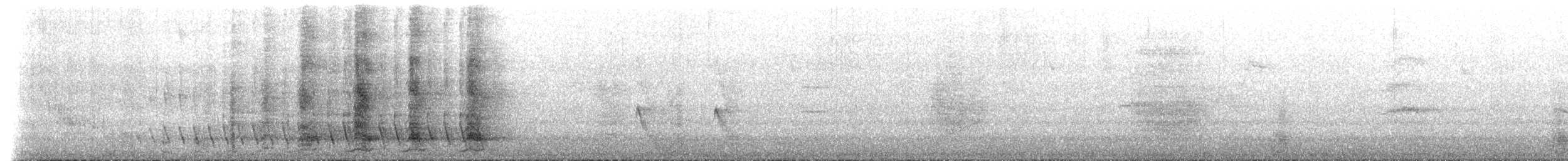 Red Wattlebird - ML649421621