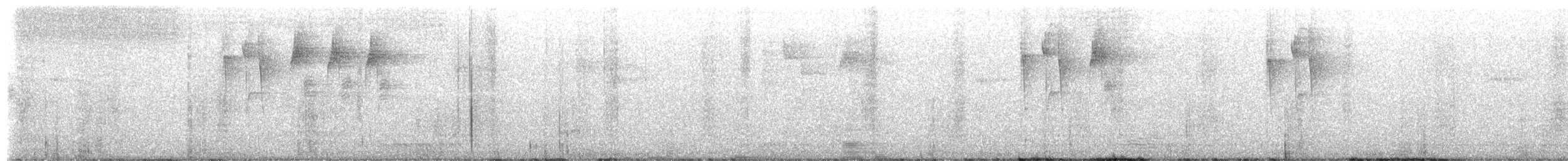 kolibřík zlatoocasý - ML649422784