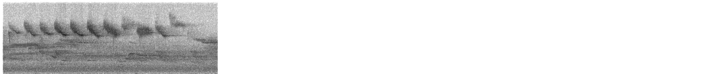 Waldsänger, unbestimmt - ML649424049