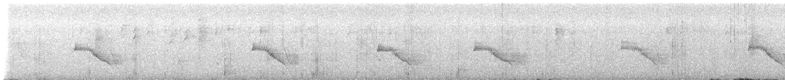 Northern House Wren (Northern) - ML649425580