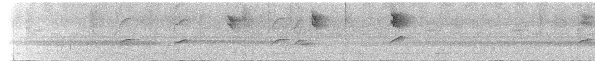 Salvadori's Antwren - ML649428472