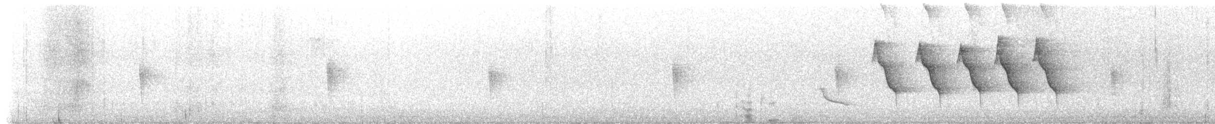 kentuckyparula - ML649431412