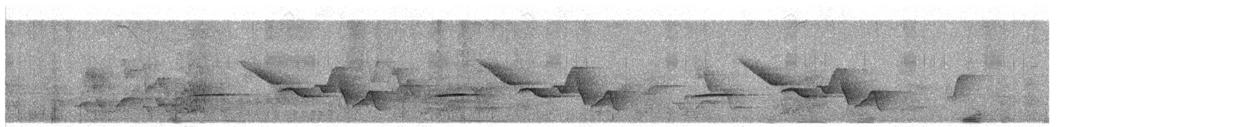 Spot-breasted Wren - ML649431644