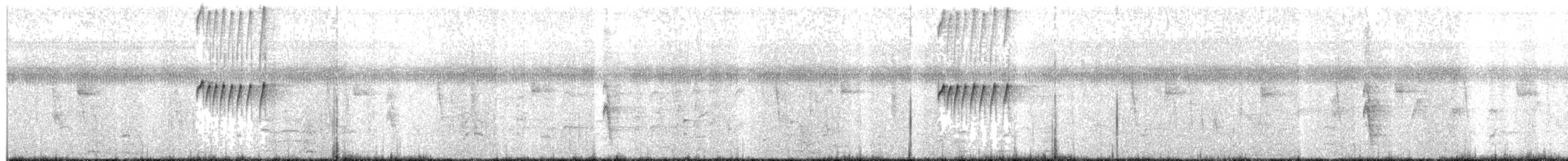 Common Tody-Flycatcher - ML649431696