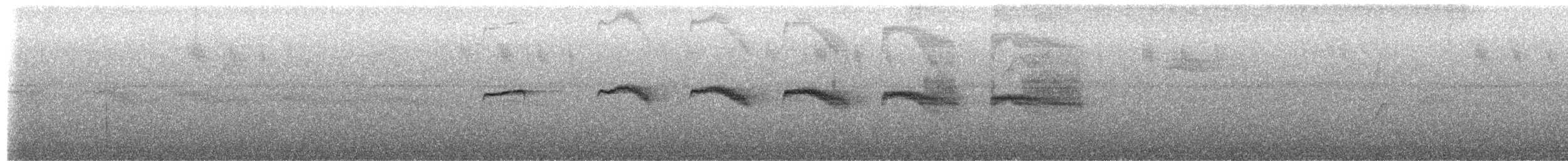 Scaled Antbird - ML649431751