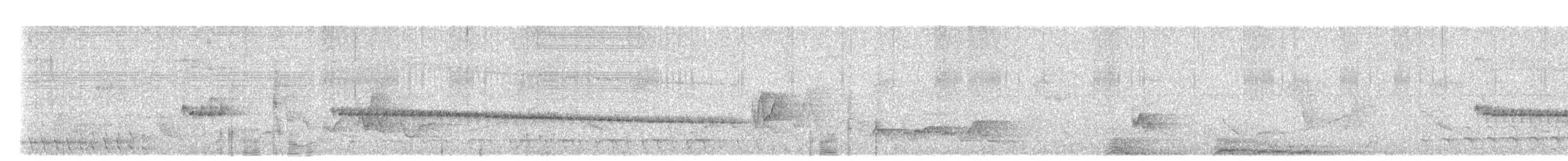 Barred Antshrike - ML649431797