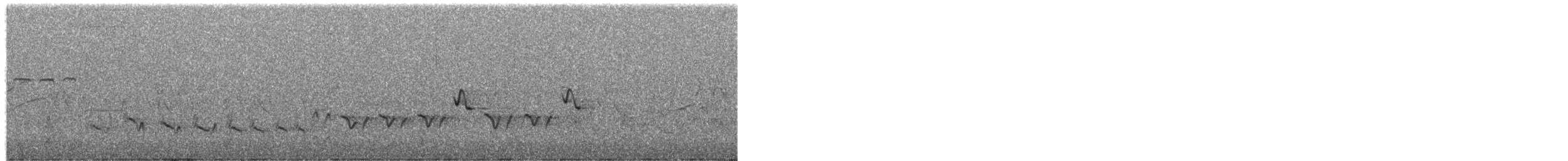 passerine sp. - ML649432710