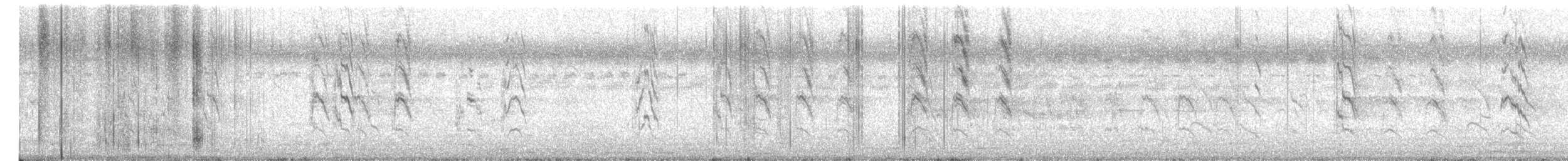 Rose-ringed Parakeet - ML649436746