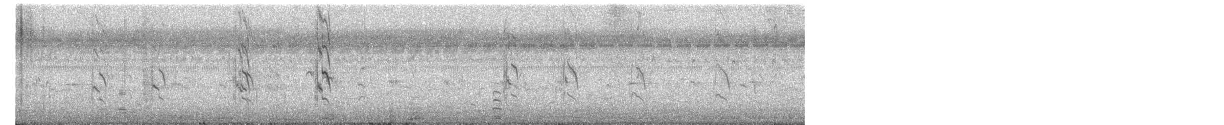 Rose-ringed Parakeet - ML649436747