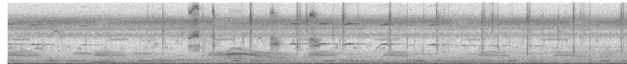 Eurasian Collared-Dove - ML649436859