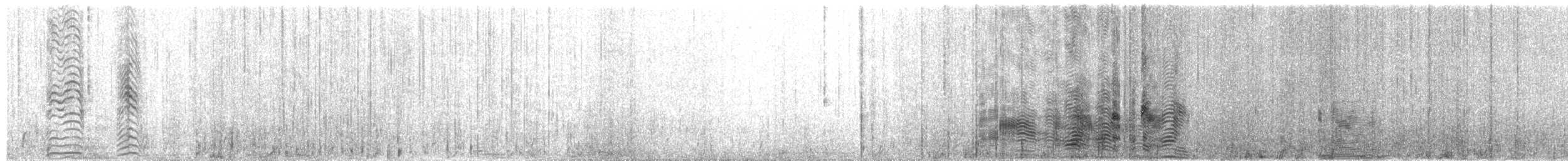 White-capped Albatross (cauta) - ML649437168