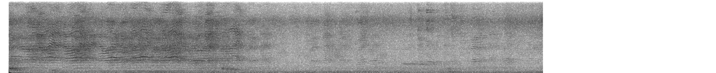 Large Gray Babbler - ML649437284