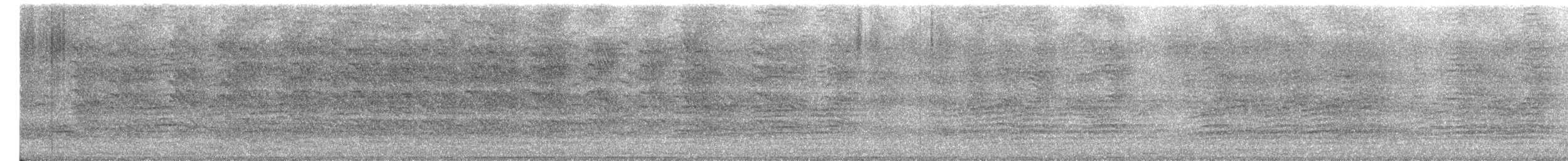 Large Gray Babbler - ML649437285