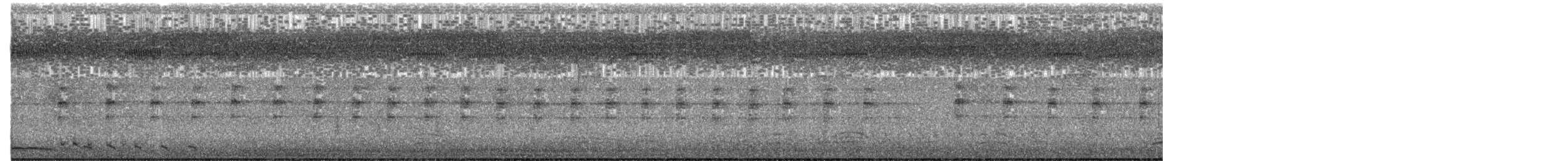 Lewin's Rail - ML649437325