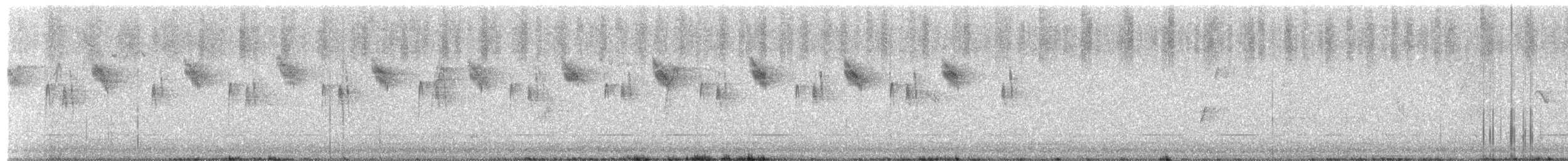 Spotted Scrubwren - ML649439071