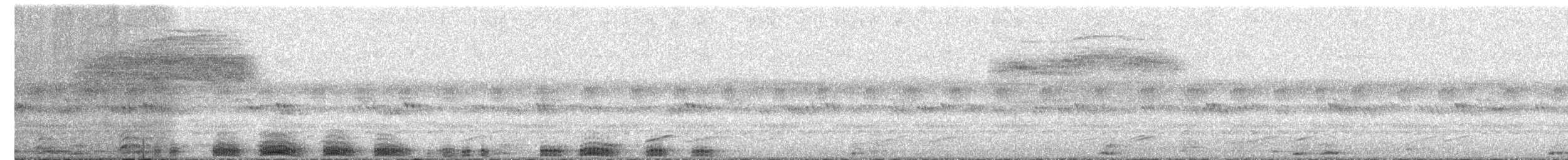 chacougle - ML649439184