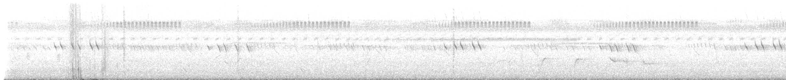 White-browed Coucal - ML649441872