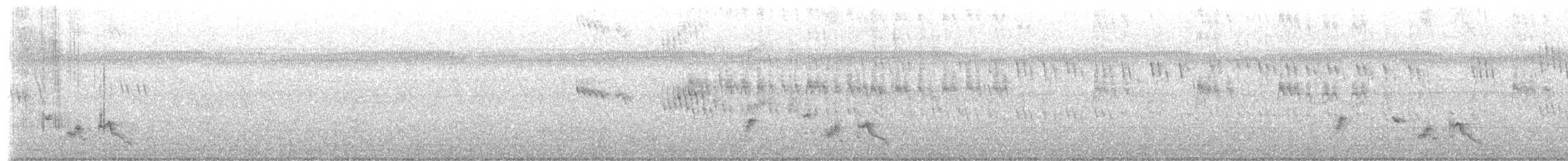 סיס-דקלים אפריקני - ML649441982