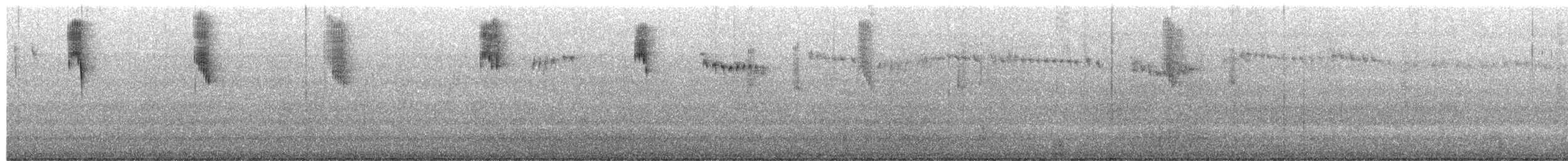 Spotted Scrubwren - ML649442050