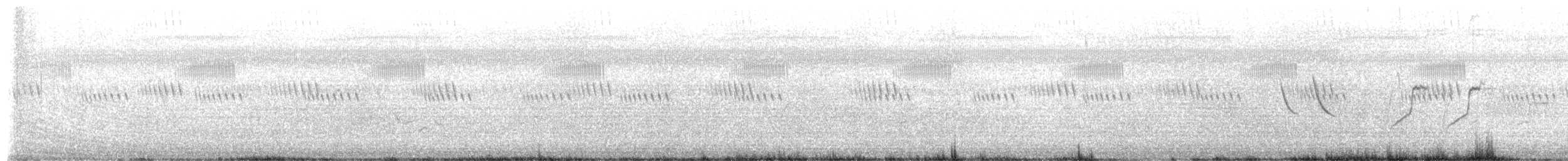 נחליאלי אפריקני - ML649442054
