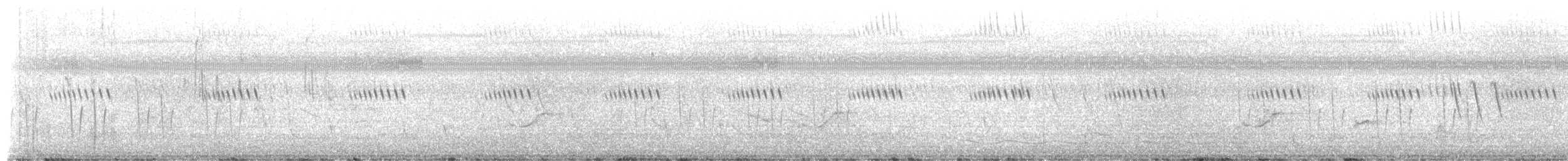 נחליאלי אפריקני - ML649442055