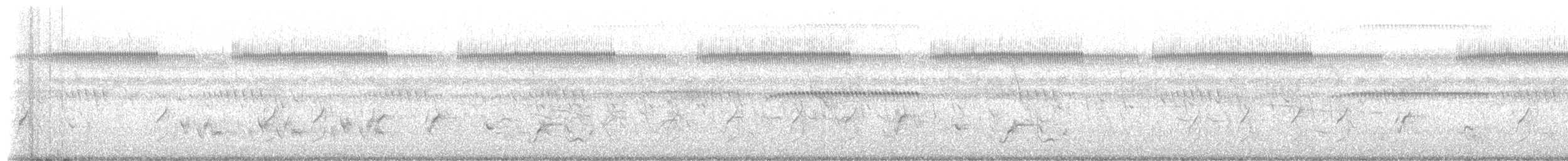 White-browed Coucal - ML649442239