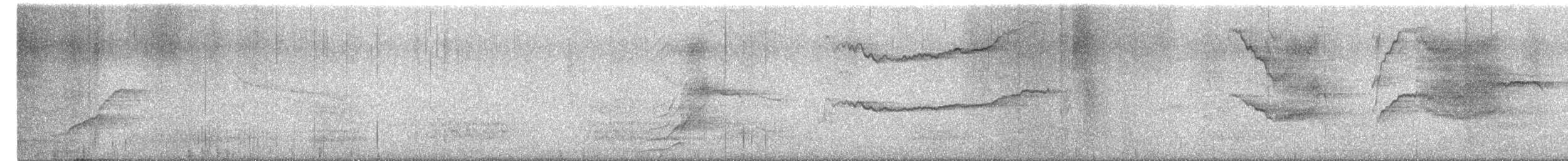 tanımsız Aves sp. - ML649443652