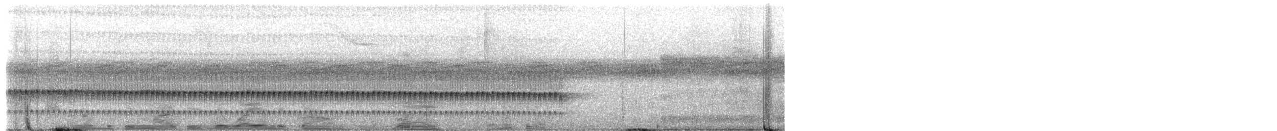 Santa Marta Tapaculo - ML649444415