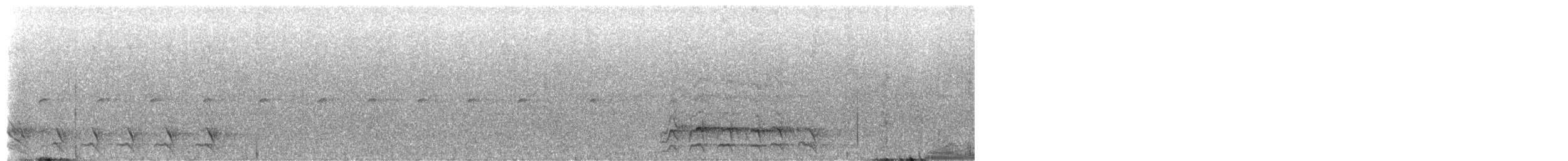 White-tipped Quetzal - ML649444793