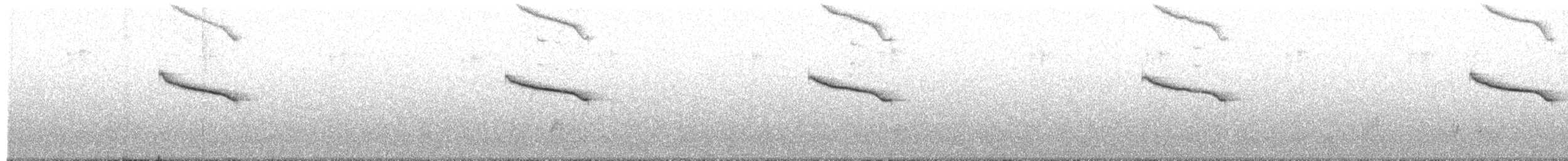 Oriental Magpie-Robin - ML649445138