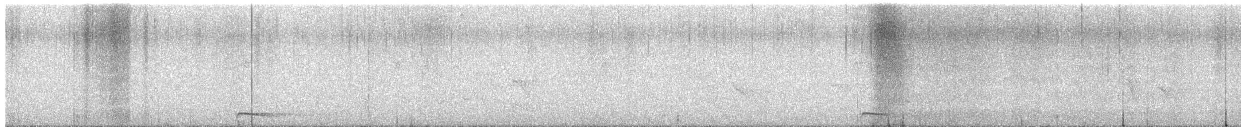 Jungle Owlet - ML649467780