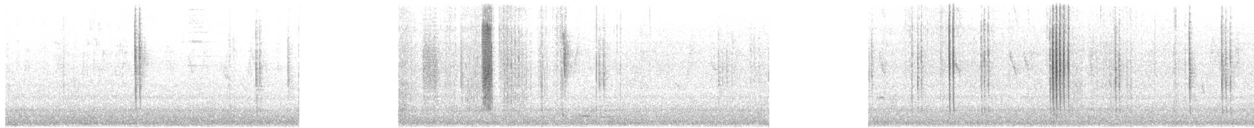 Glitzerbrillantkolibri - ML649470393